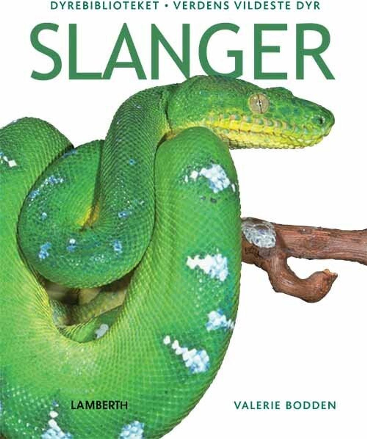 Slanger - Valerie Bodden - Bog