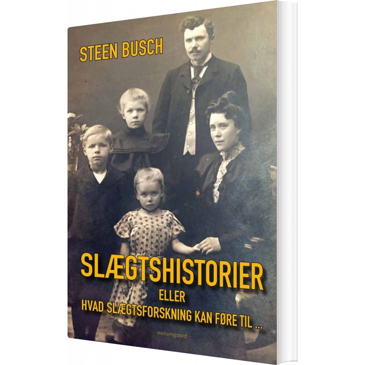 Slægtshistorier - Steen Busch - Bog