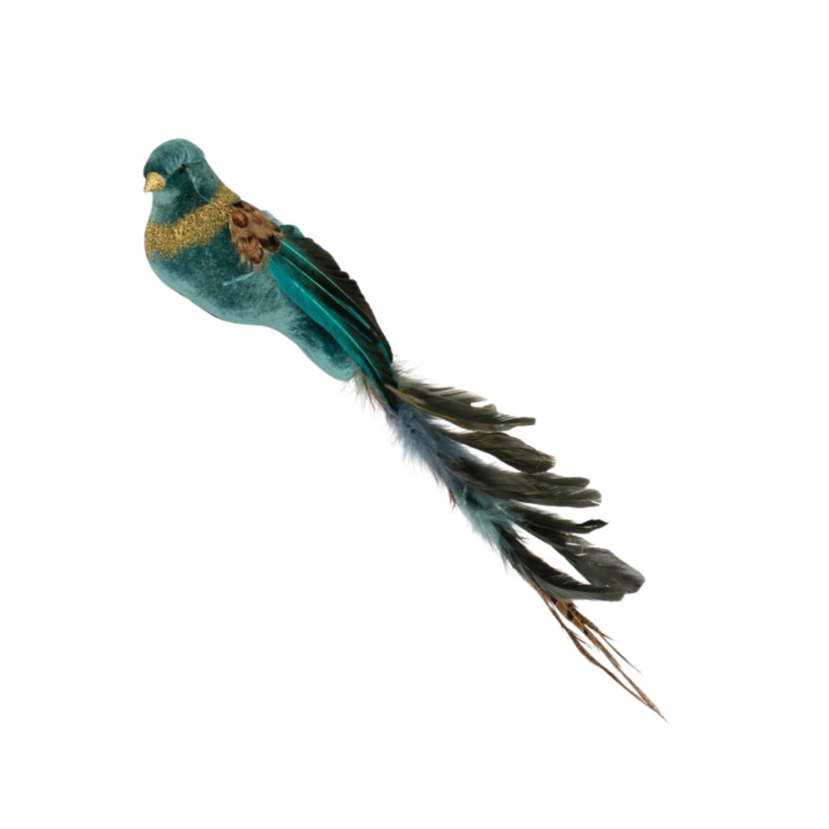 Small Turquoise Bird