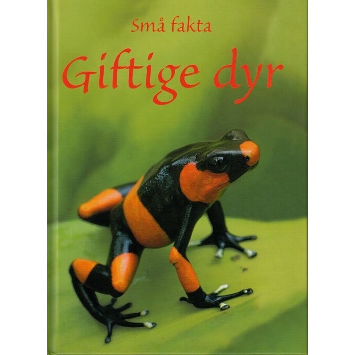 Små Fakta - Giftige Dyr - Emily Bone - Bog