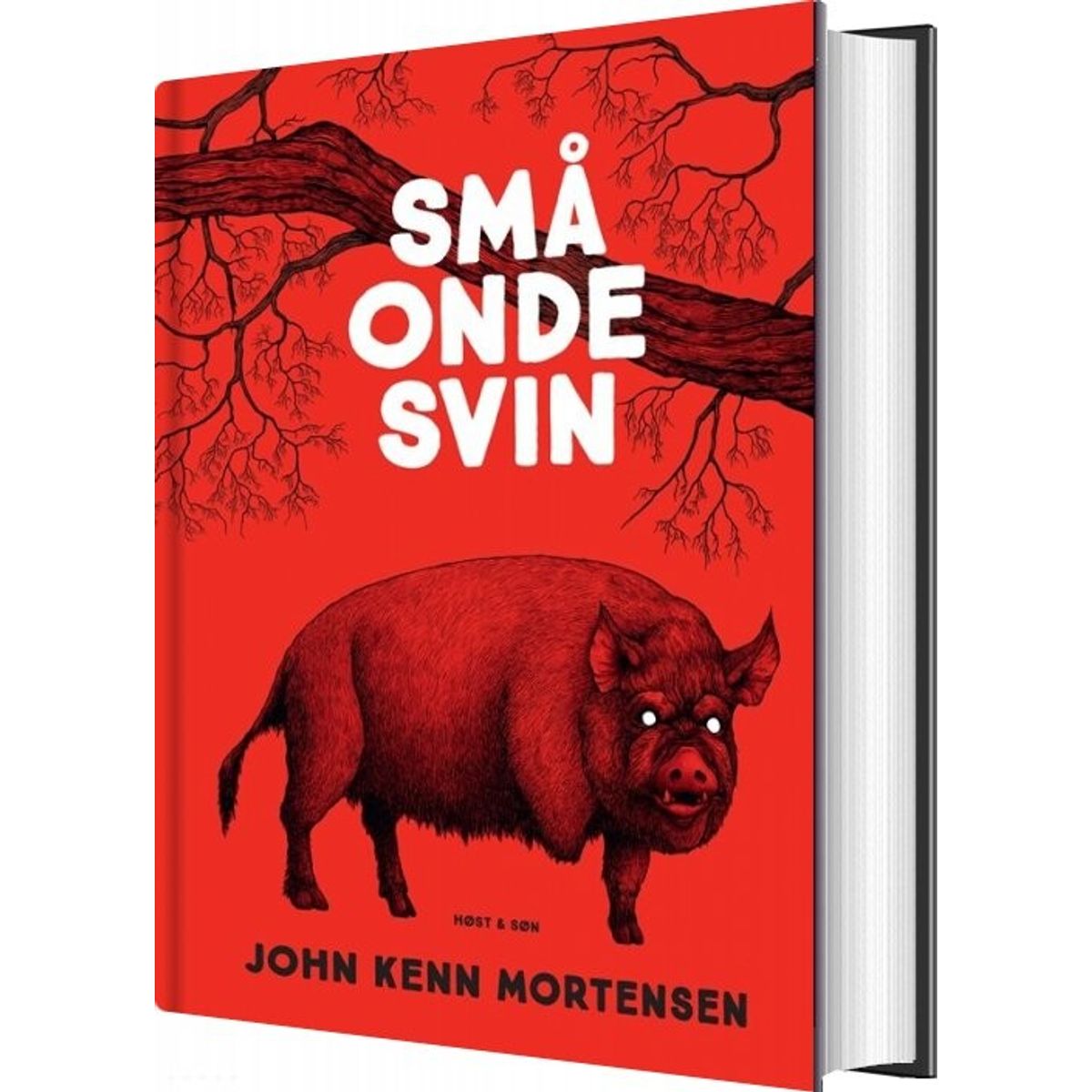 Små Onde Svin - John Kenn Mortensen - Bog