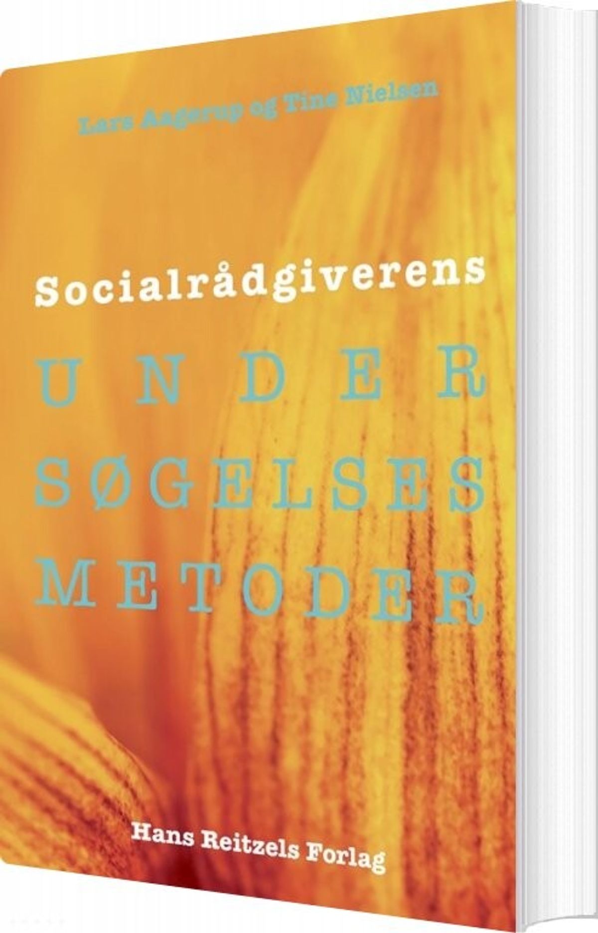 Socialrådgiverens Undersøgelsesmetoder - Tine Nielsen - Bog