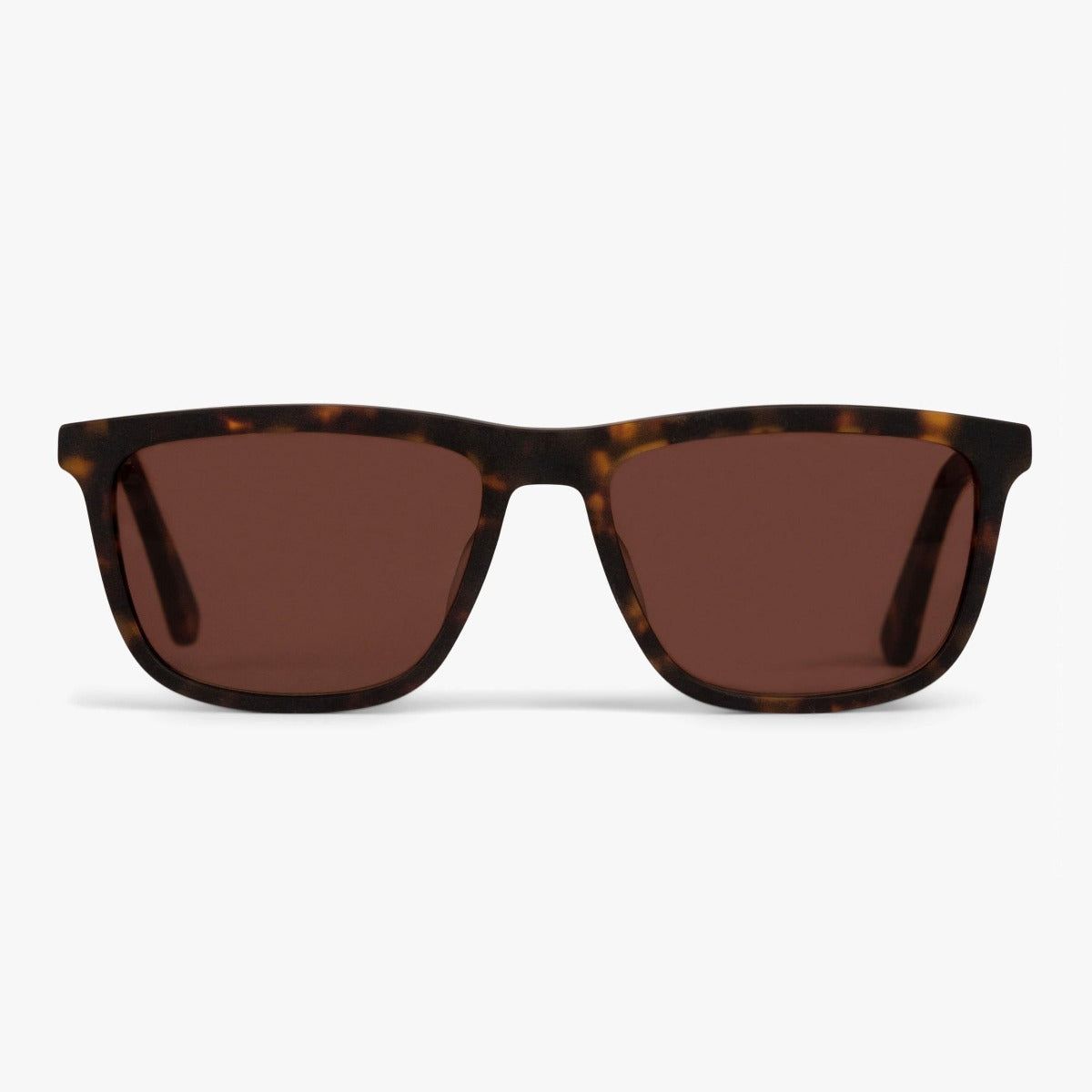 Solbriller +1 -Men's Oslo Dark Turtle - Luxreaders