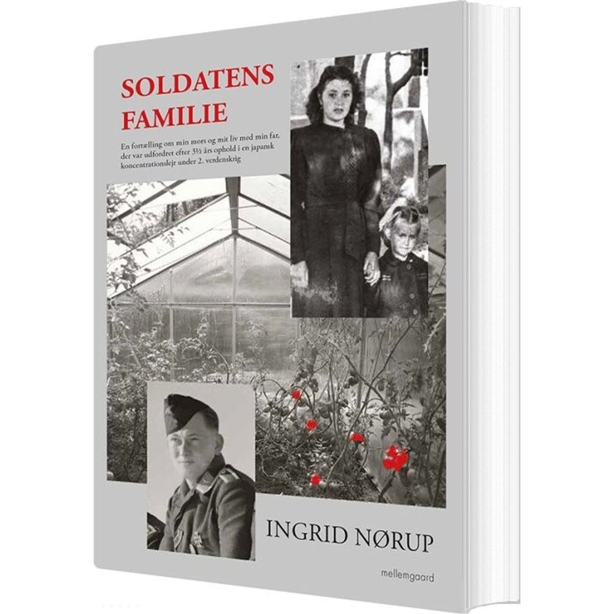 Soldatens Familie - Ingrid Nørup - Bog