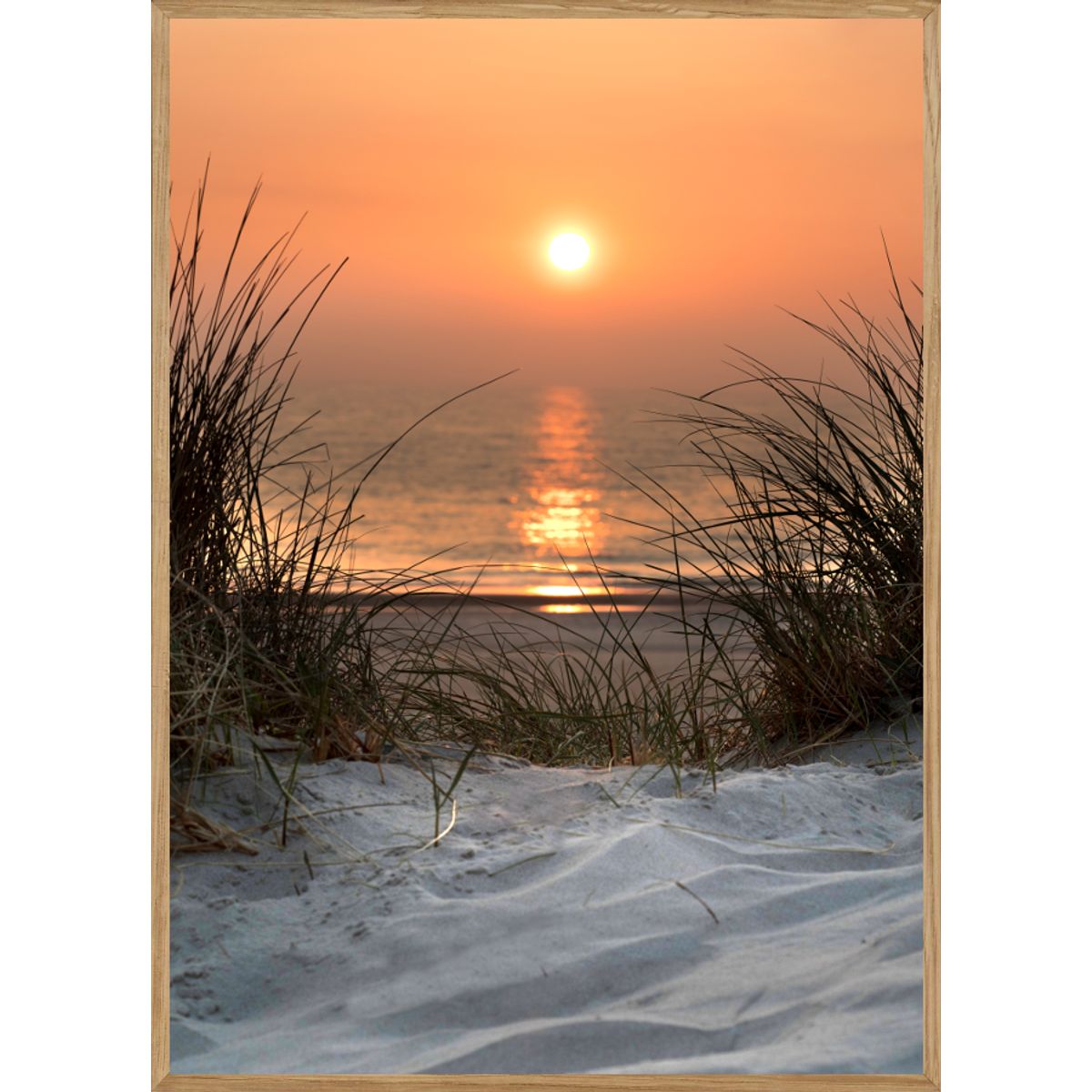 SOLNEDGANG - NATURPLAKAT 30 x 40cm - BOLIGEN > NATURPLAKATER - Living Nature