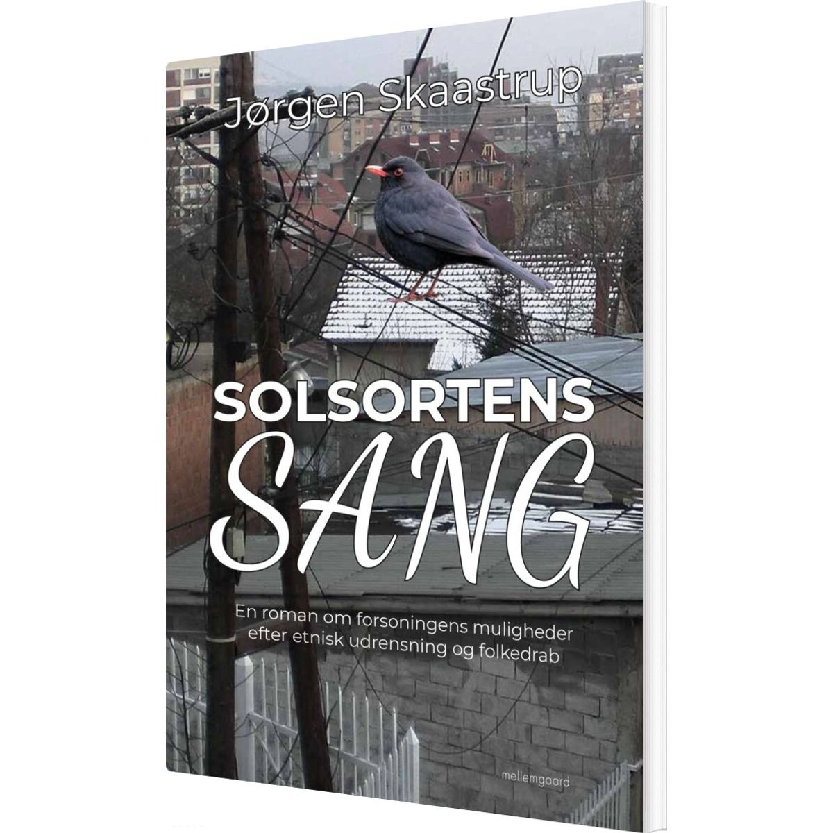 Solsortens Sang - Jørgen Skaastrup - Bog