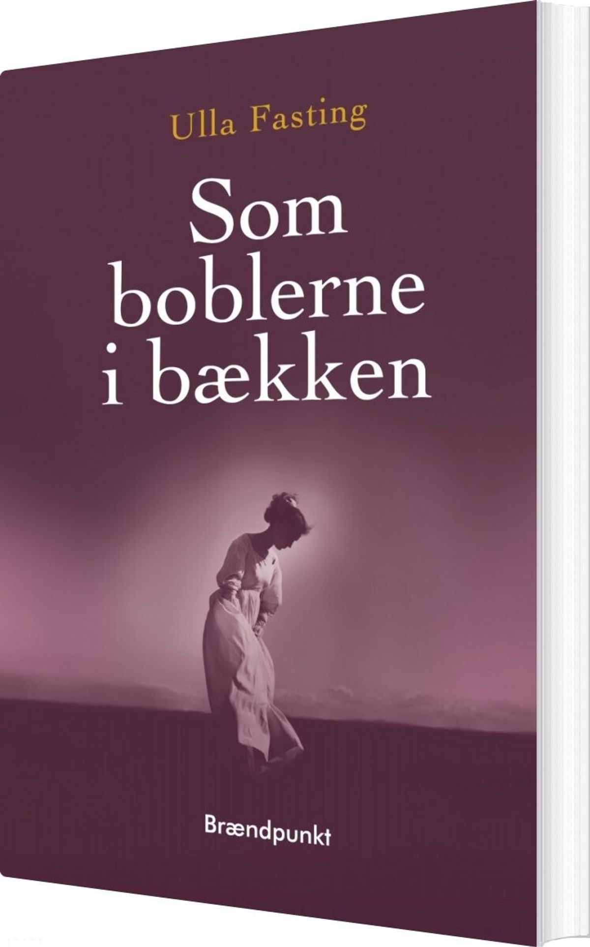 Som Boblerne I Bækken - Ulla Fasting - Bog