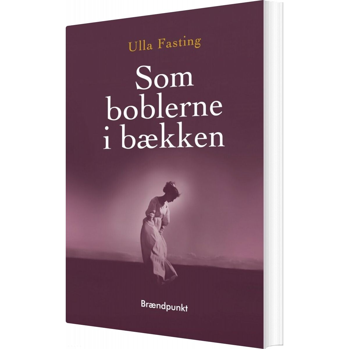 Som Boblerne I Bækken - Ulla Fasting - Bog