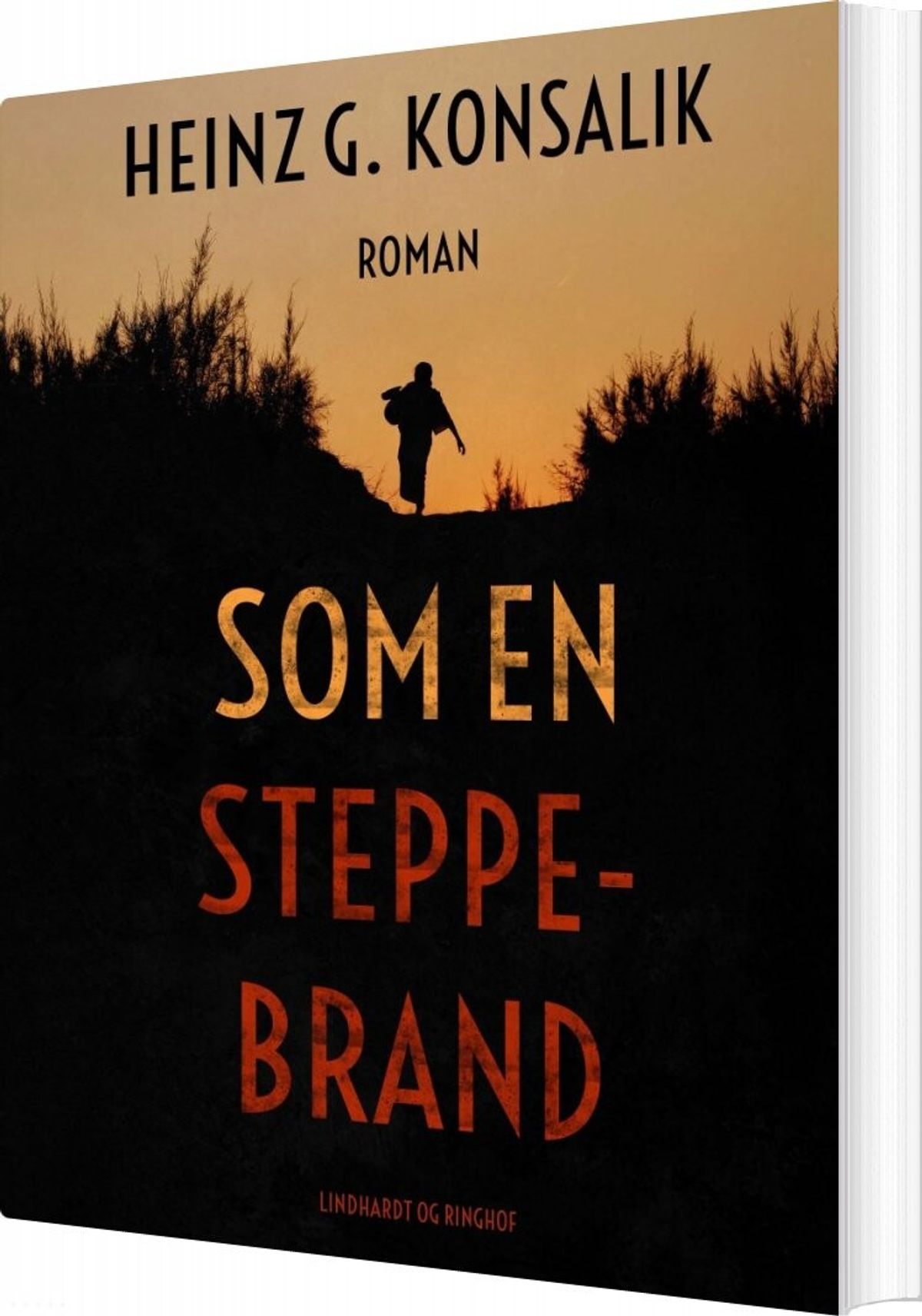 Som En Steppebrand - Heinz G. Konsalik - Bog