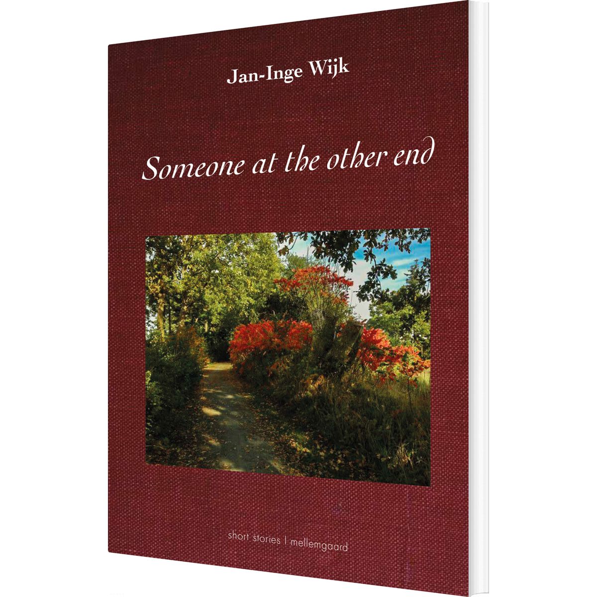 Someone At The Other End - Jan-inge Wijk - English Book