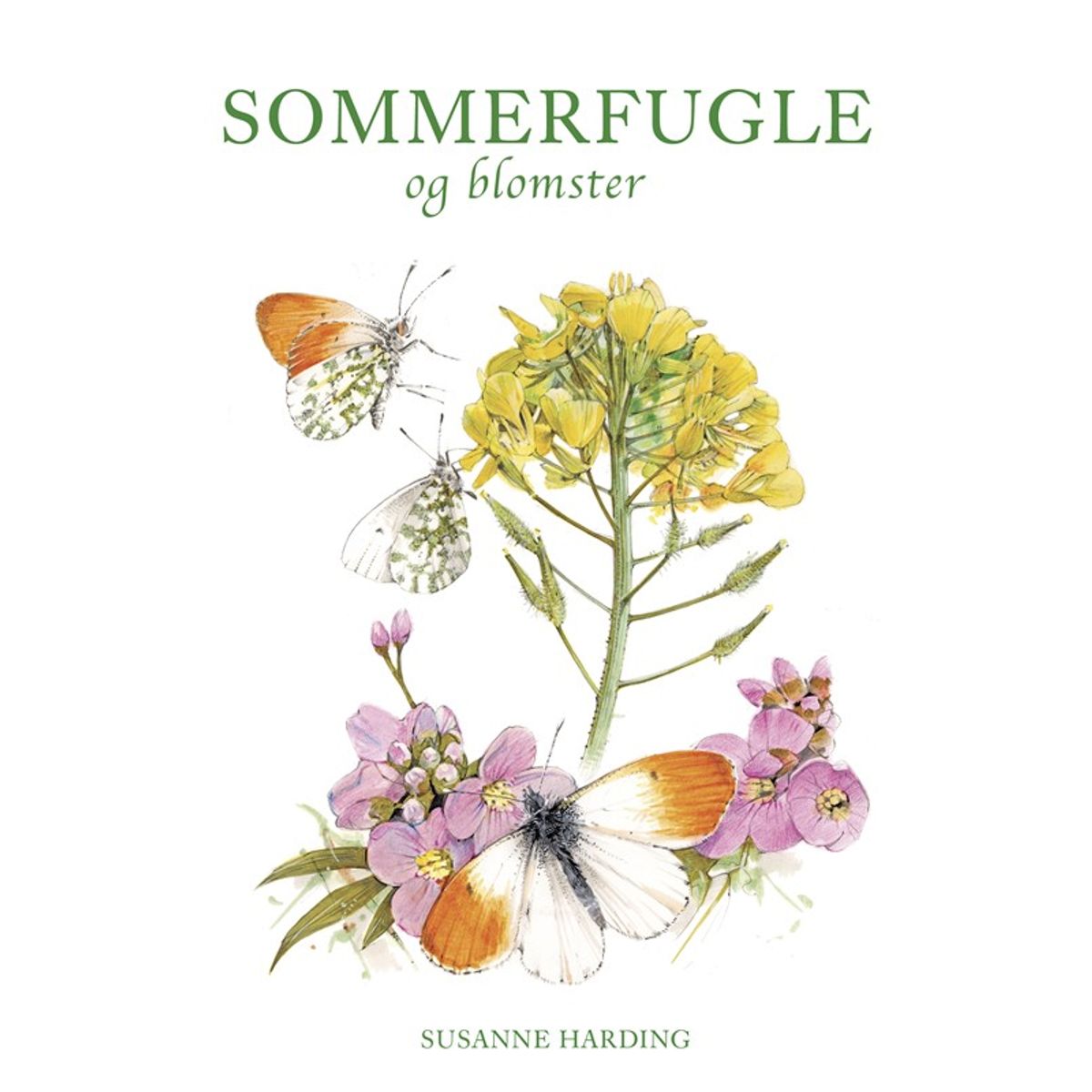 SOMMERFUGLE OG BLOMSTER