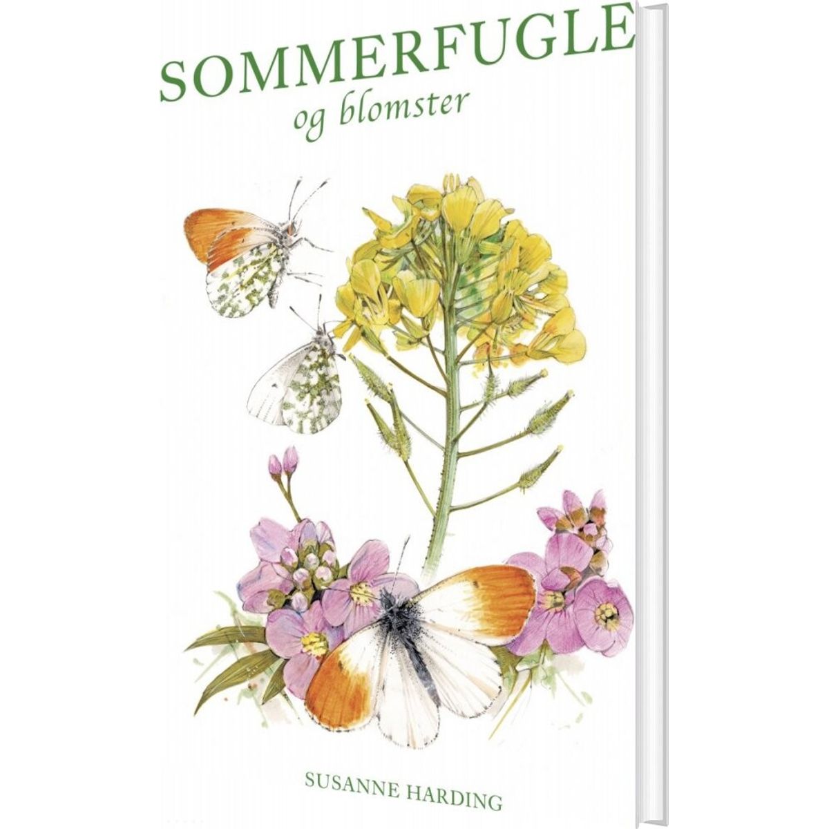 Sommerfugle Og Blomster - Susanne Harding - Bog