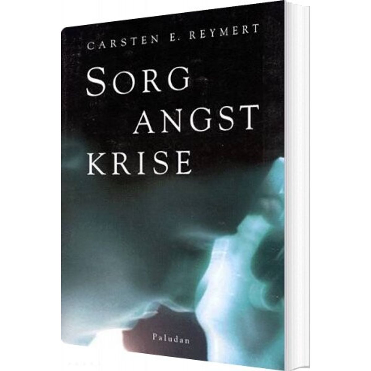 Sorg, Angst, Krise - Carsten E. Reymert - Bog