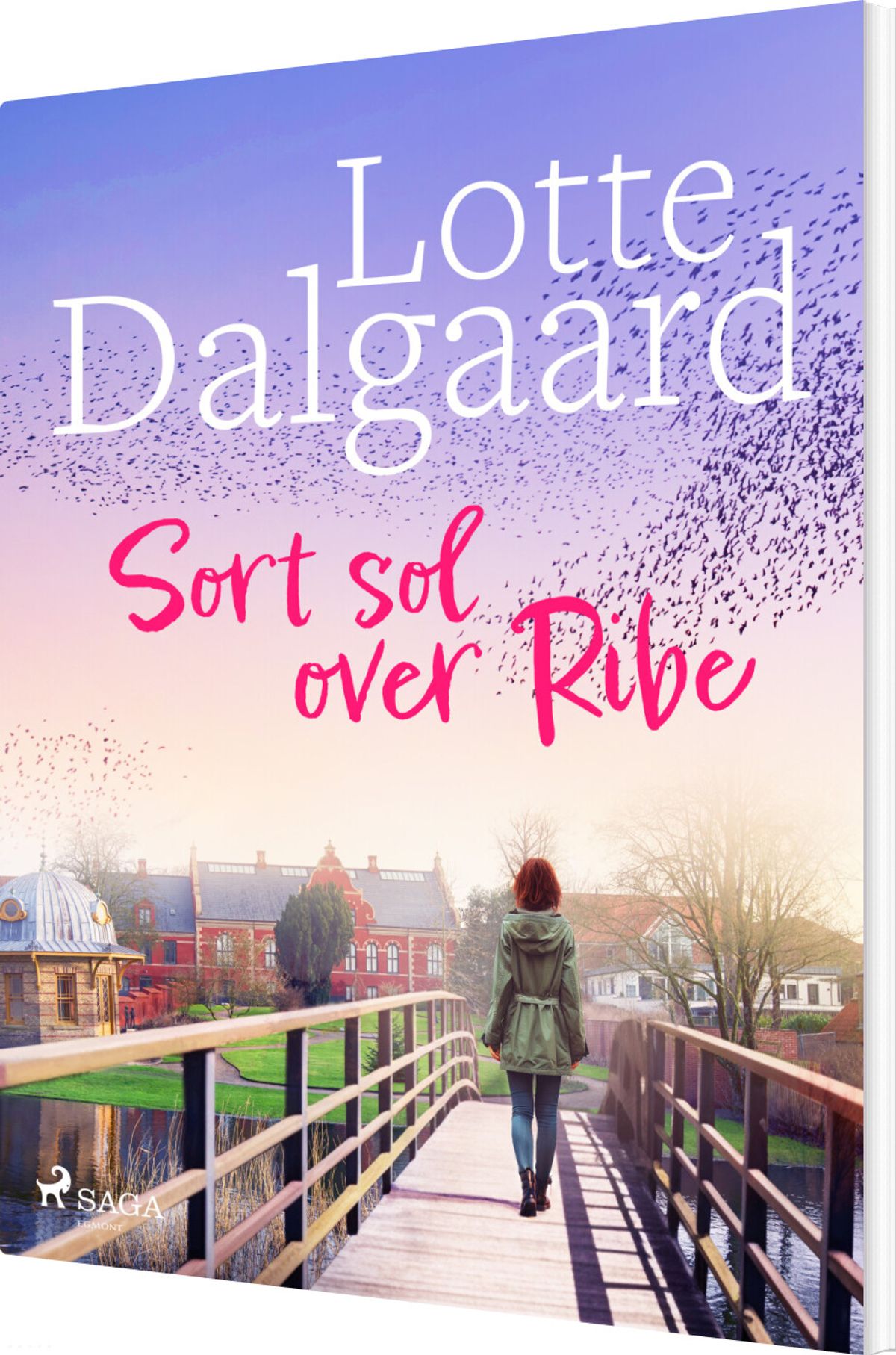 Sort Sol Over Ribe - Lotte Dalgaard - Bog