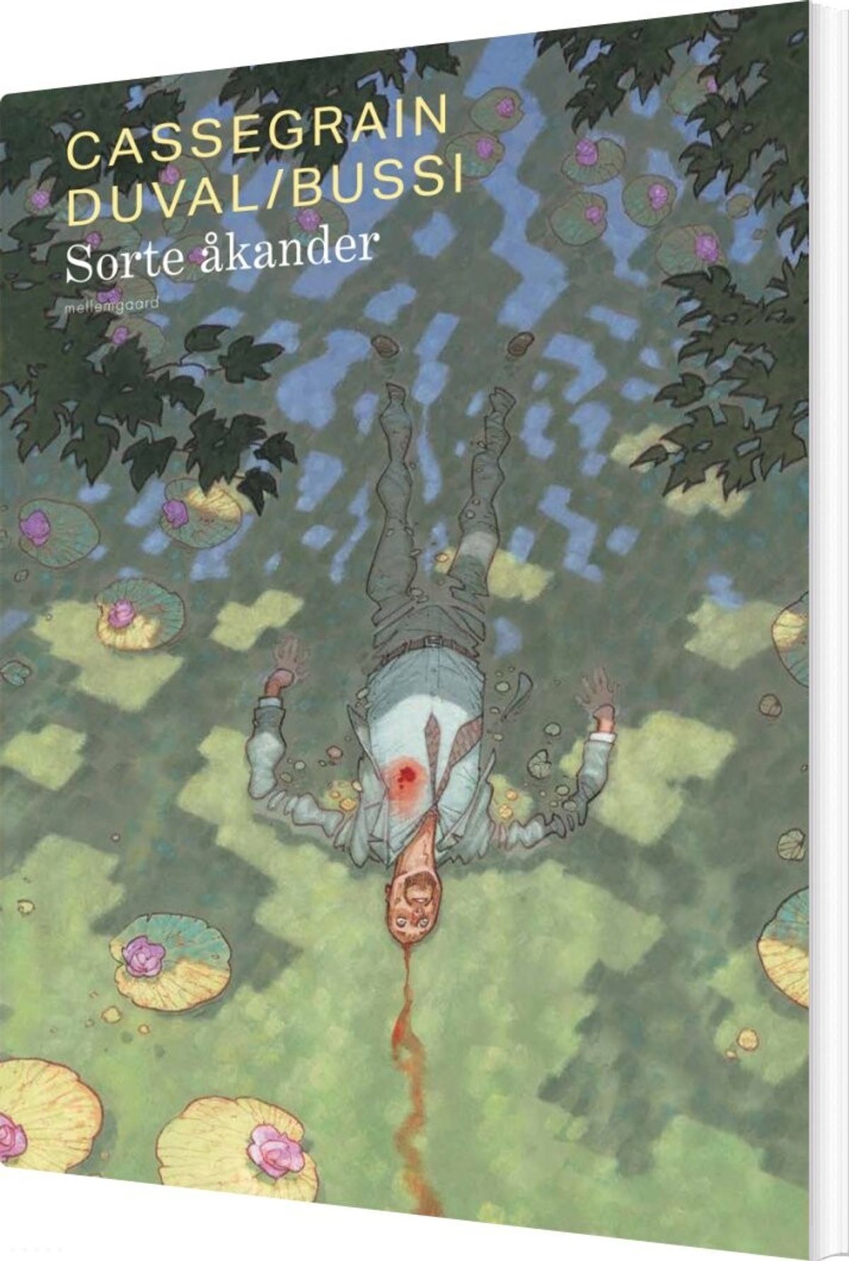 Sorte åkander - Michel Bussi - Bog