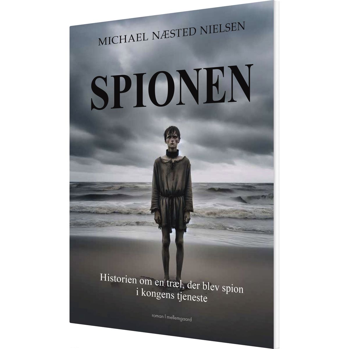 Spionen - Michael Næsted Nielsen - Bog