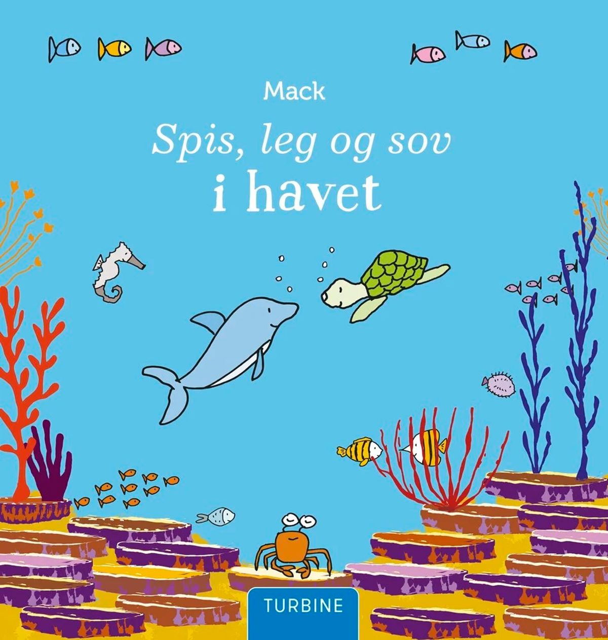 Spis, leg og sov i havet