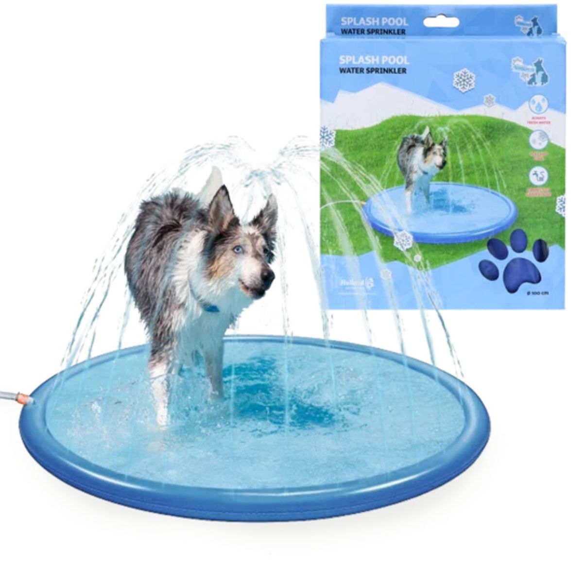 Splash Pool Watersprinkler