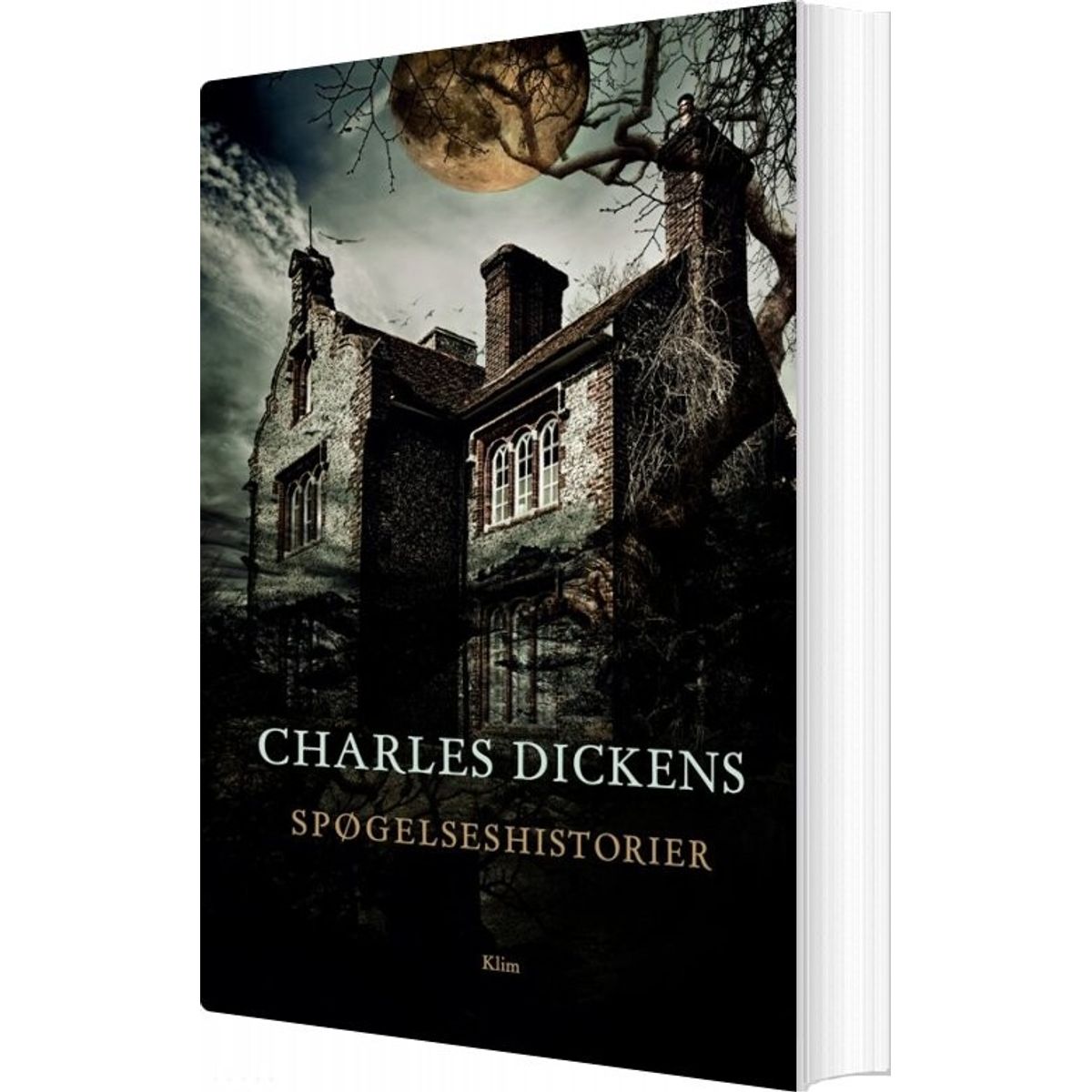 Spøgelseshistorier - Charles Dickens - Bog