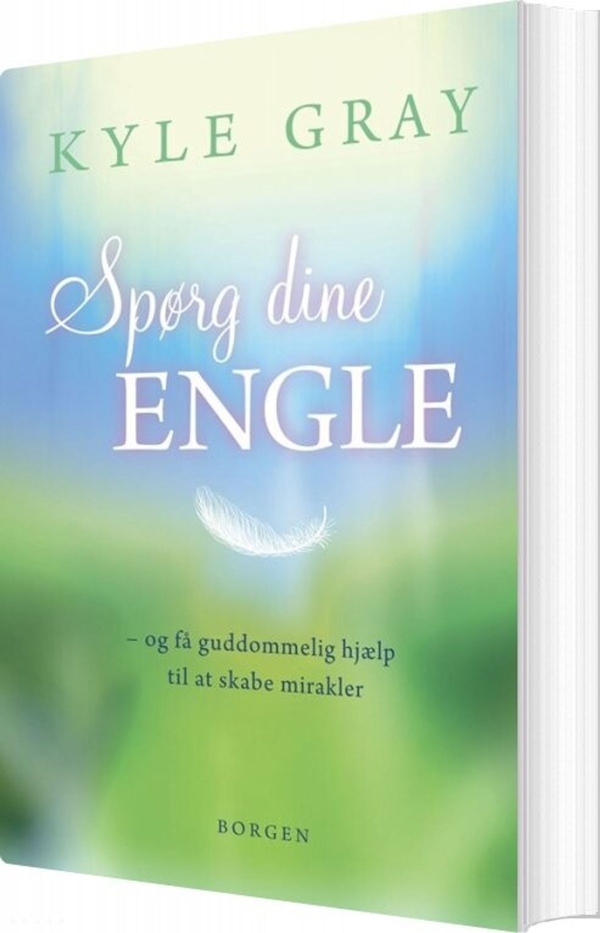 Spørg Dine Engle - Kyle Gray - Bog