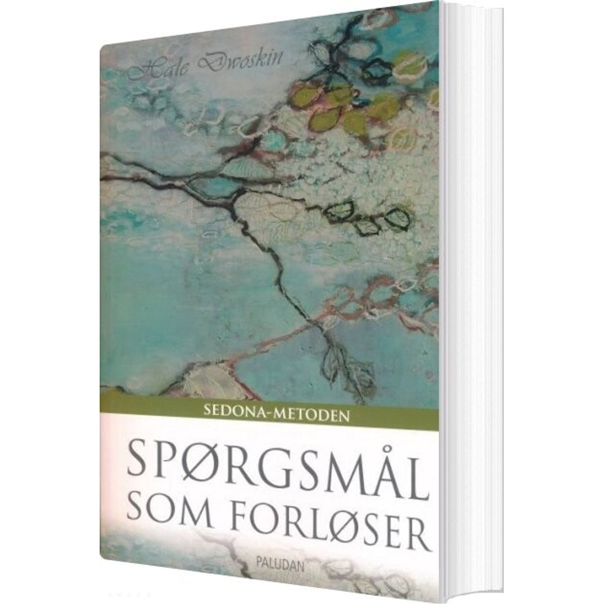 Spørgsmål Som Forløser - Hale Dworskin - Bog