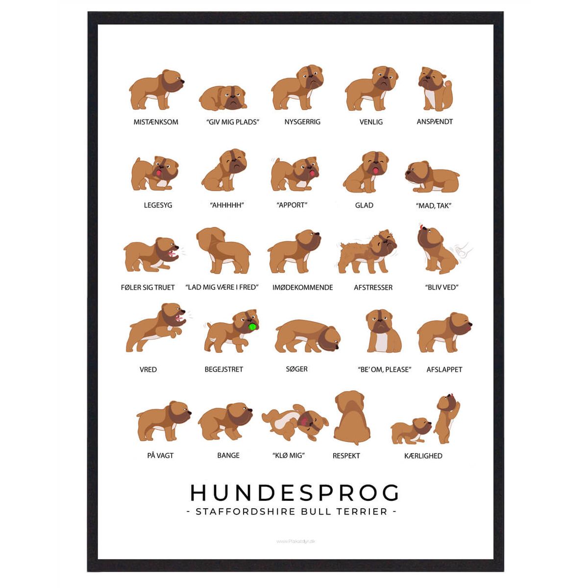 Staffordshire Bull Terrier plakat - Hundesprog (Størrelse: L - 50x70cm (B2))