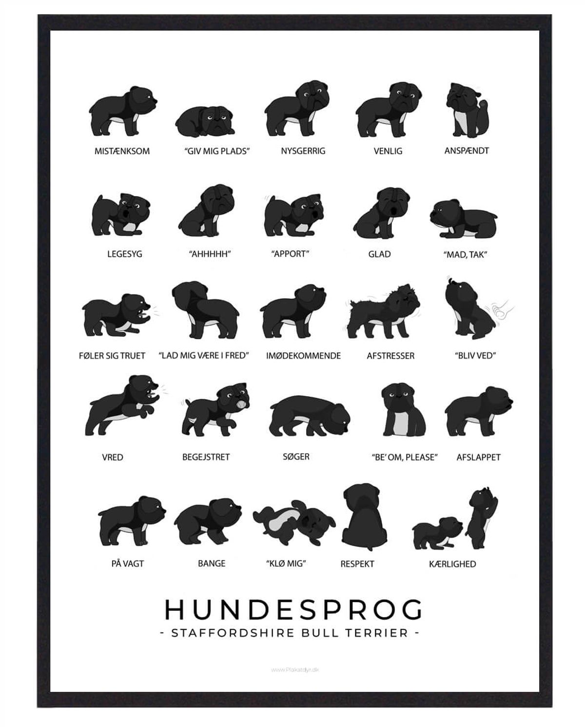 Staffordshire Bull Terrier sort plakat - Hundesprog (Størrelse: L - 50x70cm (B2))