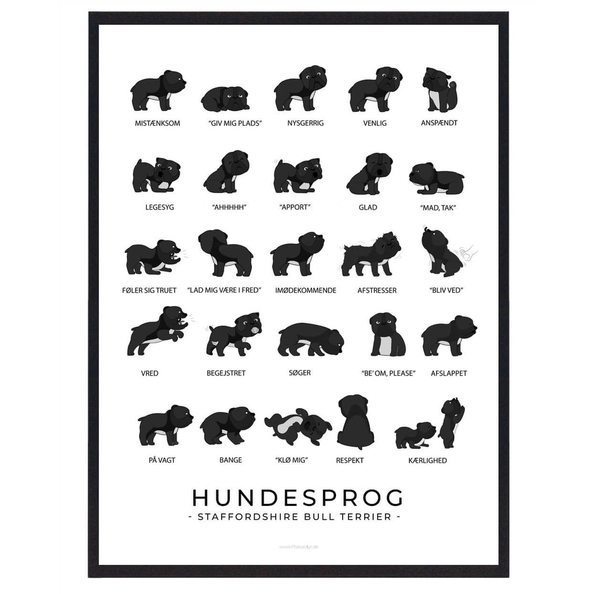 Staffordshire Bull Terrier sort plakat - Hundesprog (Størrelse: M - 30x40cm)