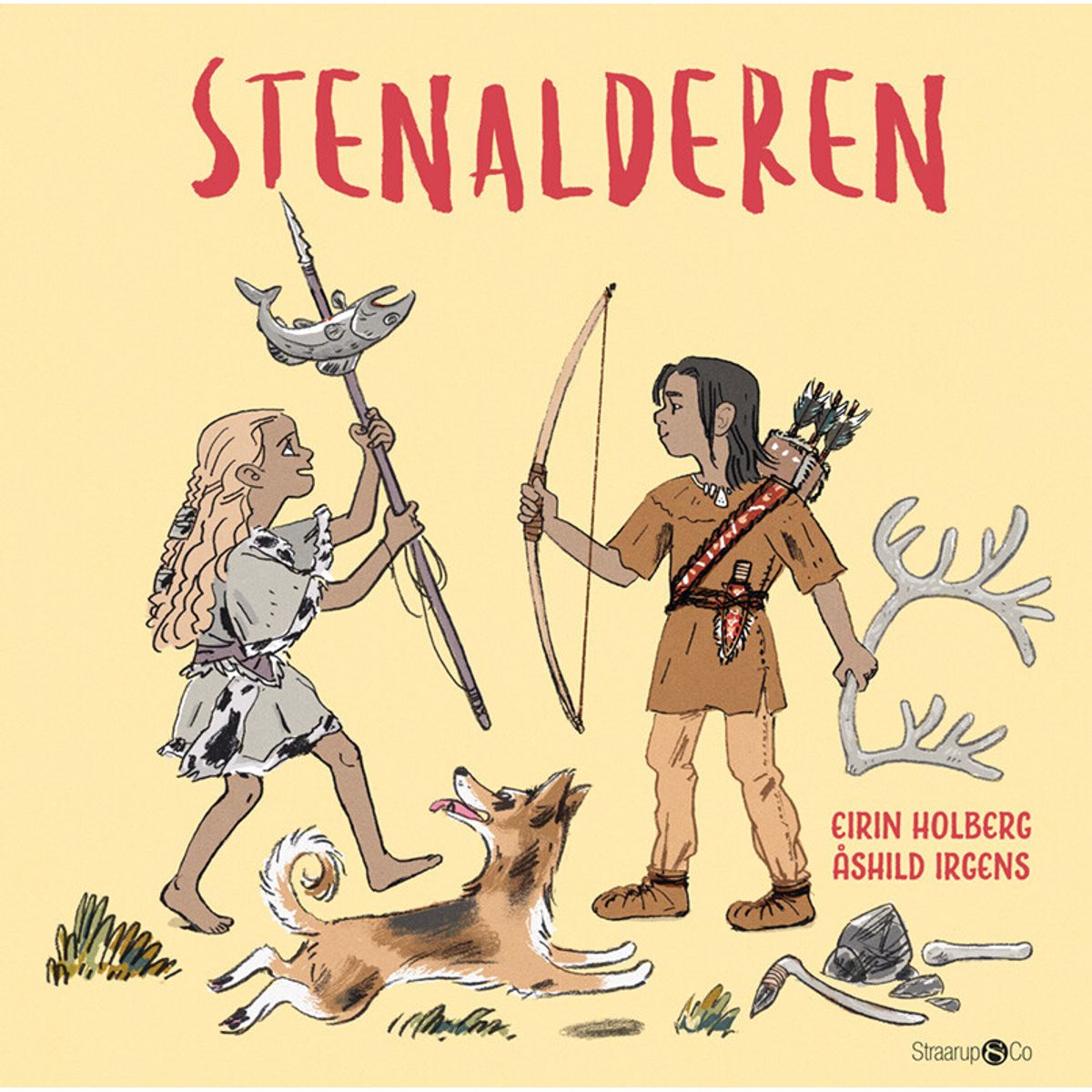 Stenalderen - Eirin Holberg - Bog