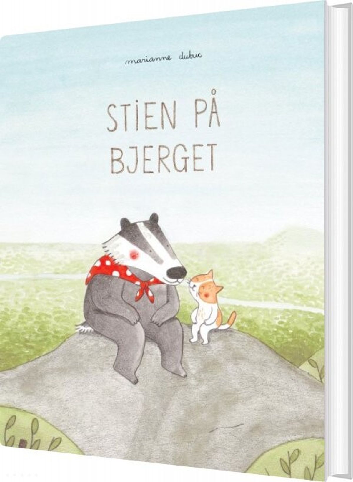 Stien På Bjerget - Marianne Dubuc - Bog