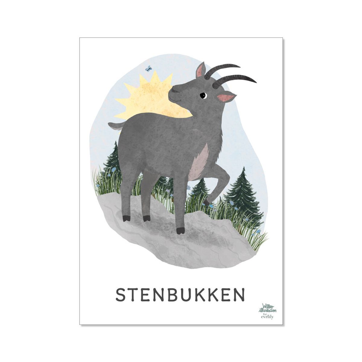 Stjernetegn - stenbukken