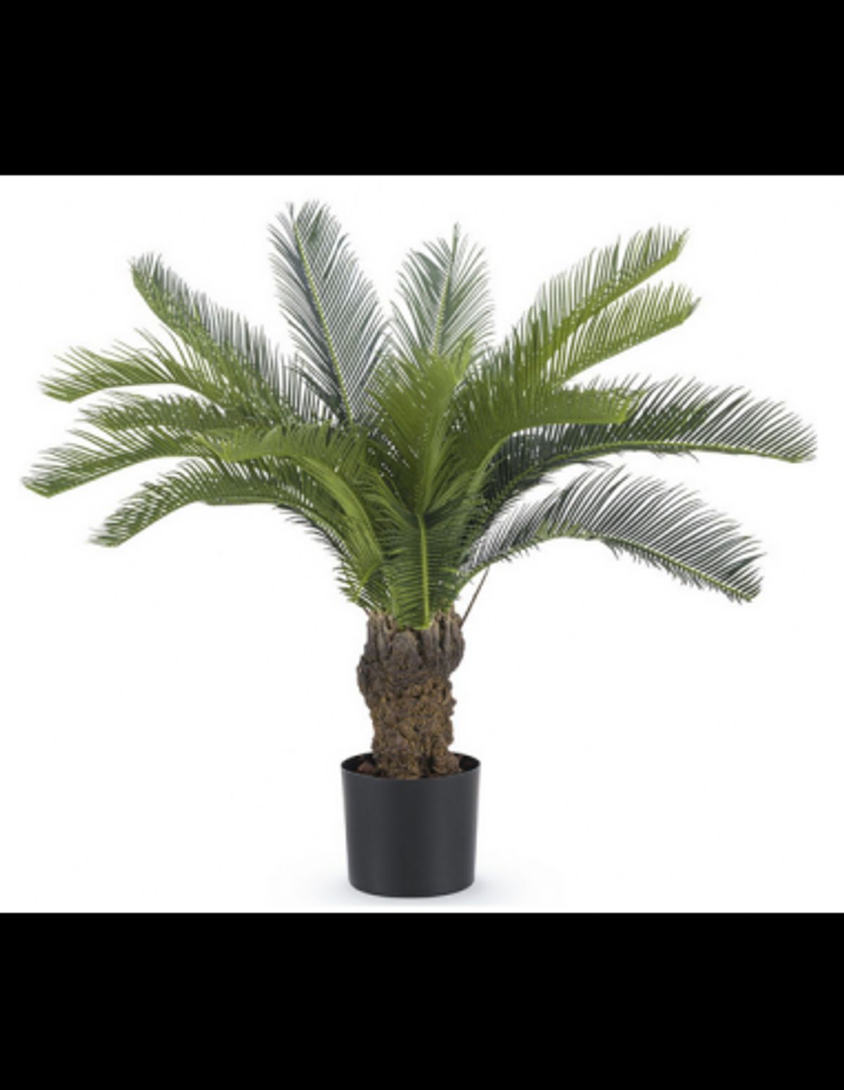 Stor kunstig Cycas palme H80 cm