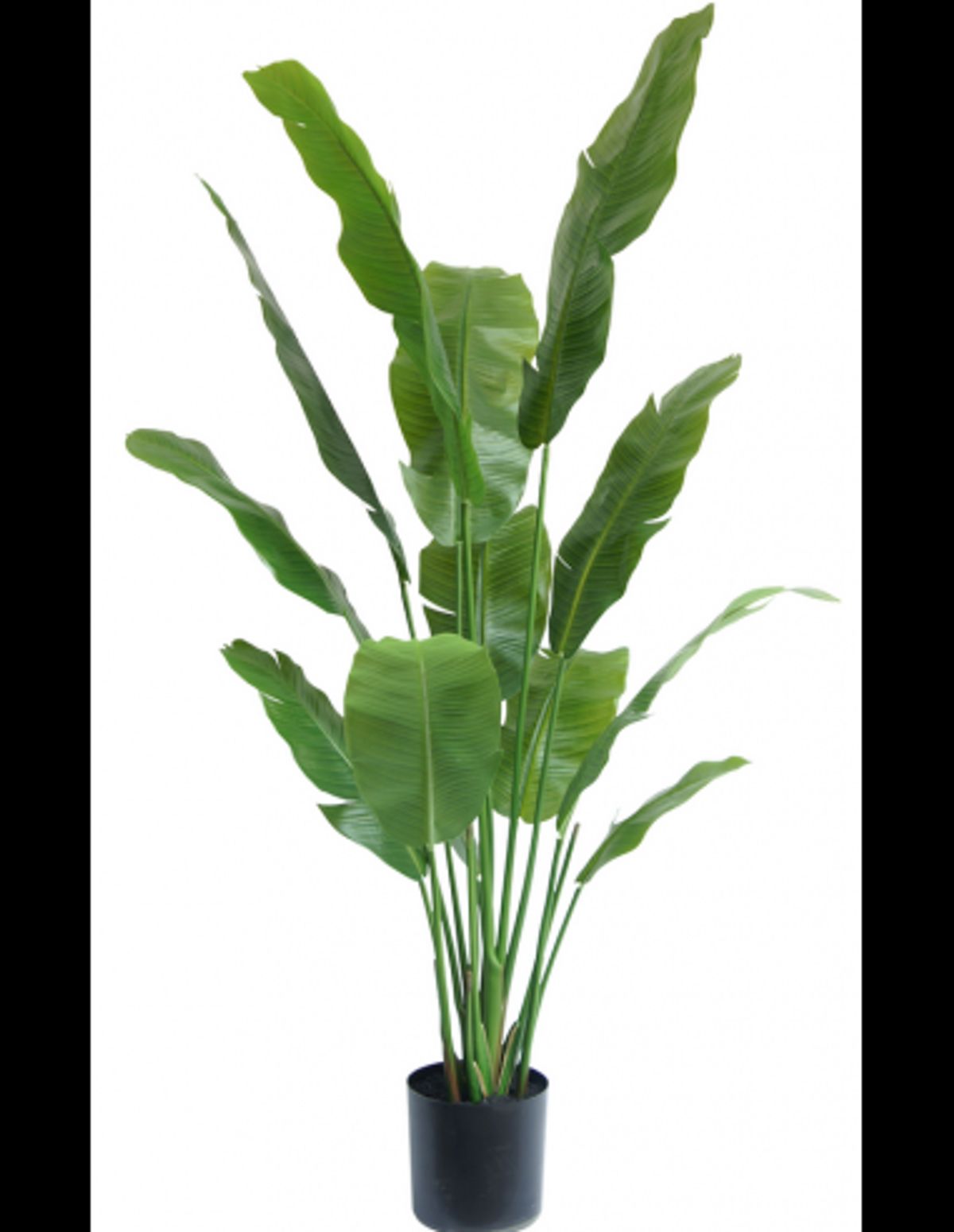 Stor kunstig deluxe Strelitzia plante H165 cm