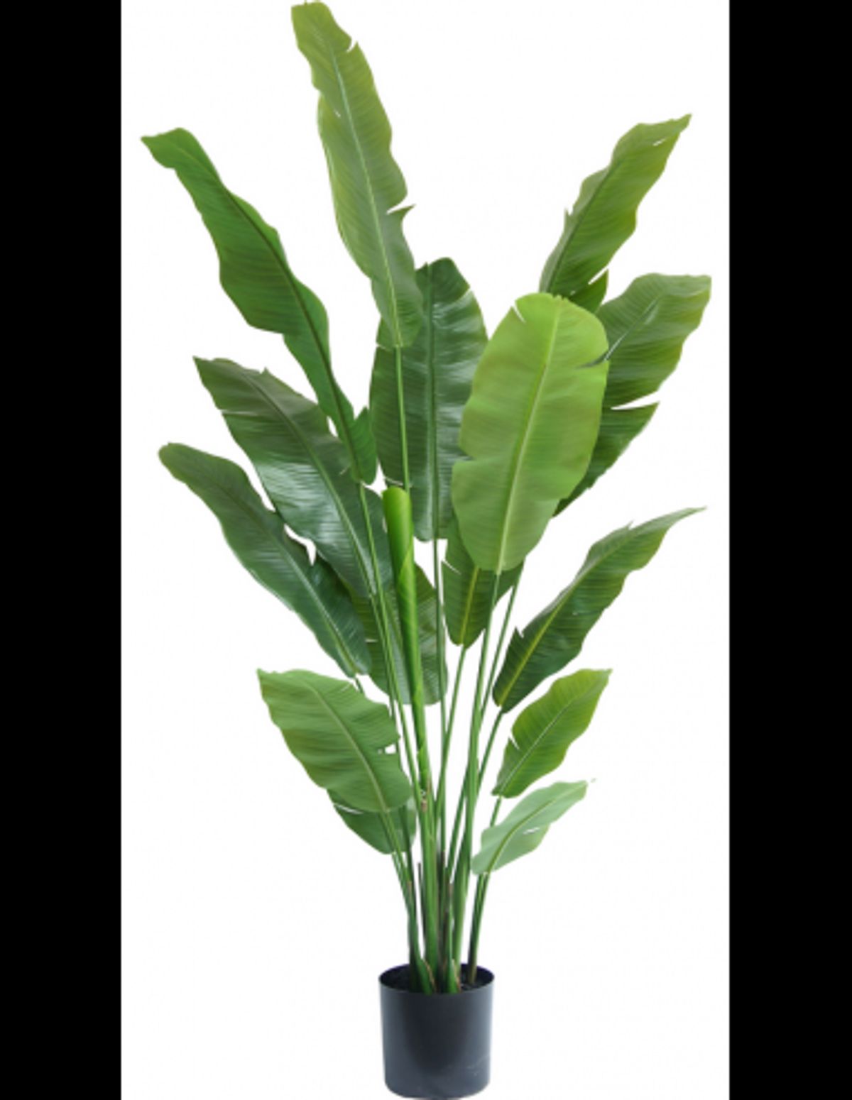 Stor kunstig deluxe Strelitzia plante H180 cm