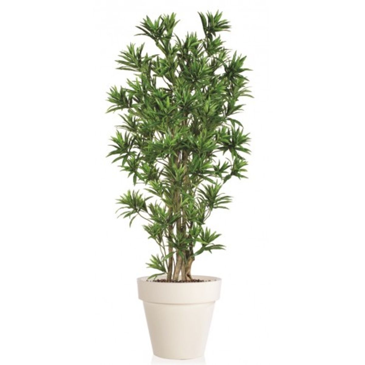 Stor kunstig Dracaena plante med potte H180 cm