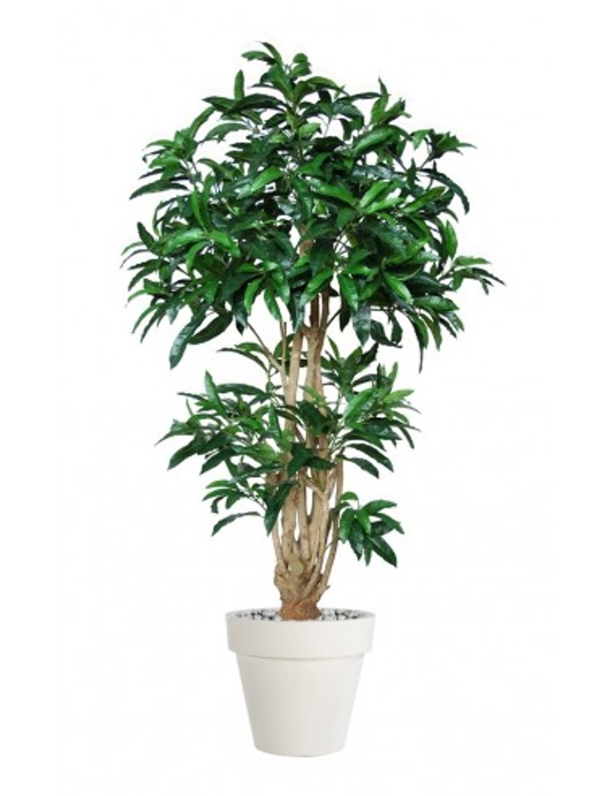 Stor kunstig Mango plante med potte H180 cm