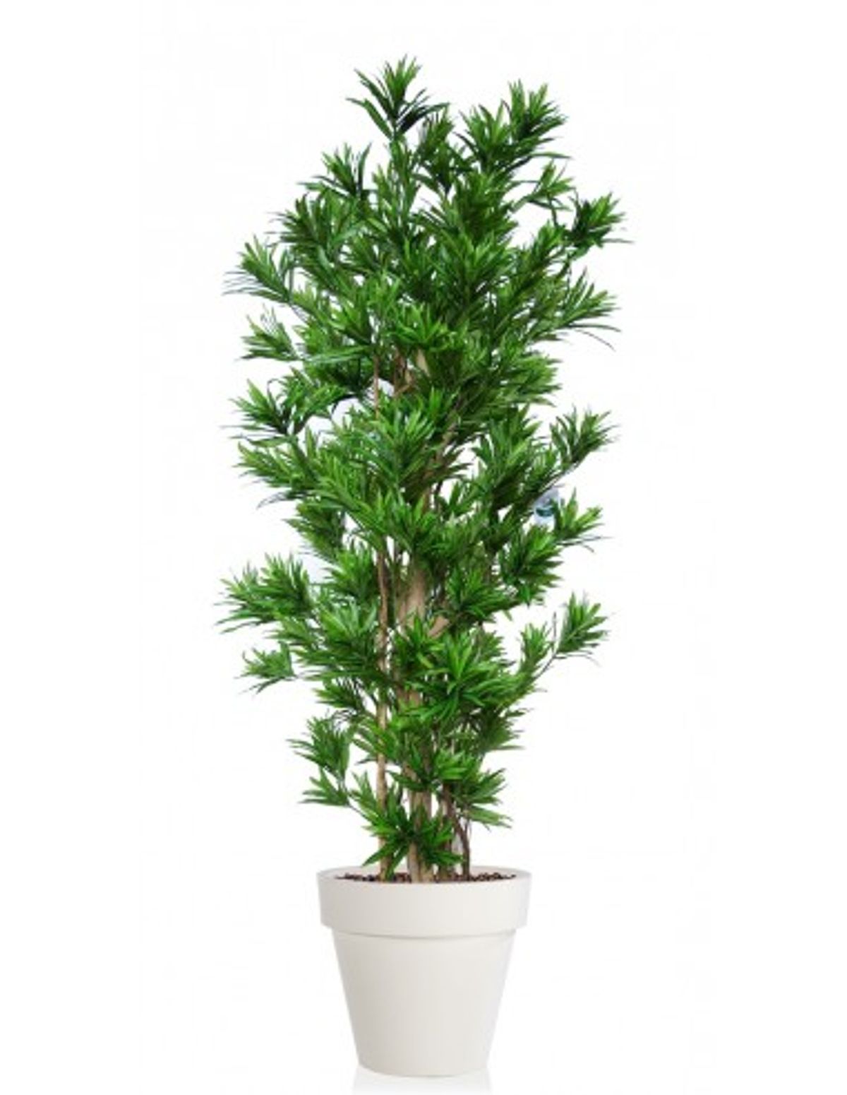 Stort kunstigt Dracaena træ med potte H260 cm