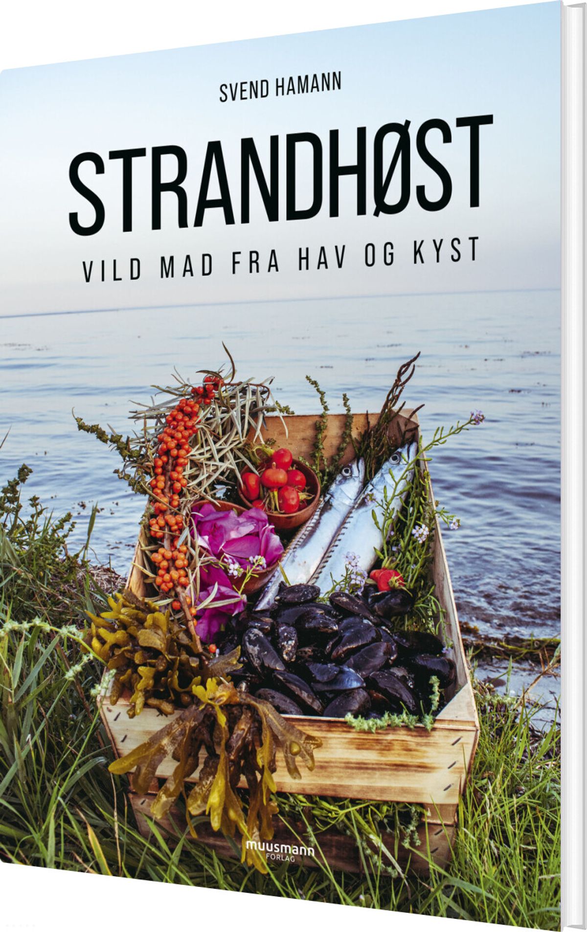 Strandhøst - Svend Hamann - Bog