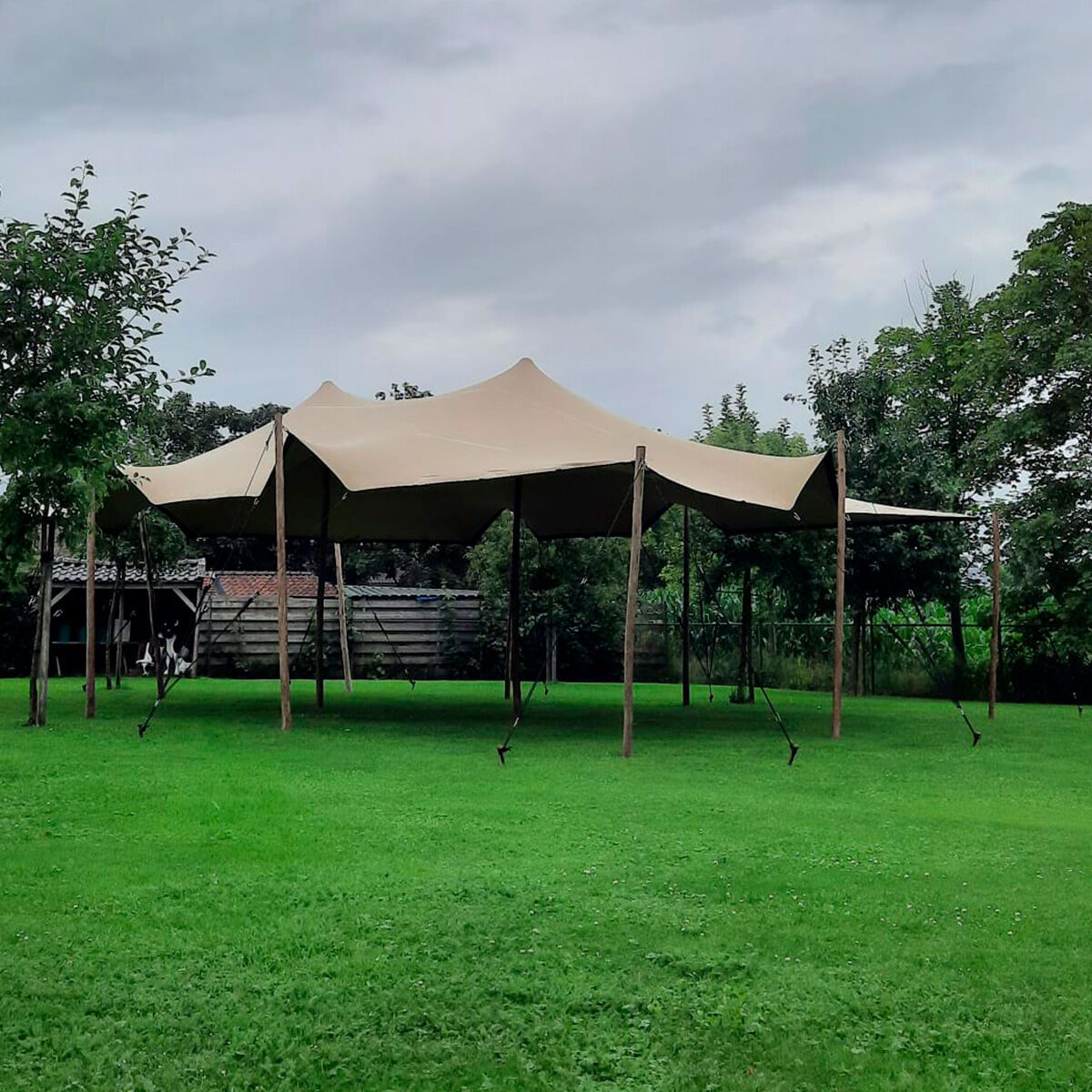 Stretch Tent - 6x6m dug - Komplet - Sand