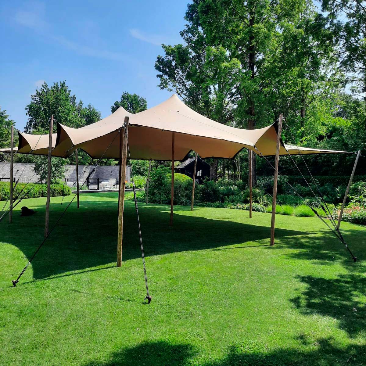 Stretch Tent - 7,5x10,5m dug - Komplet - Sand