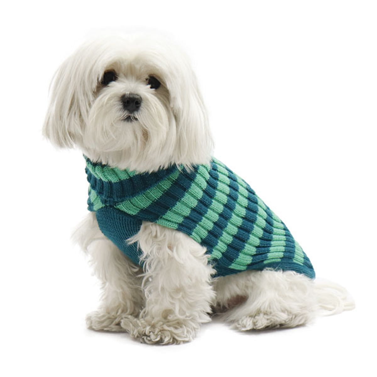 Stribet hundesweater i merino uld-39 cm