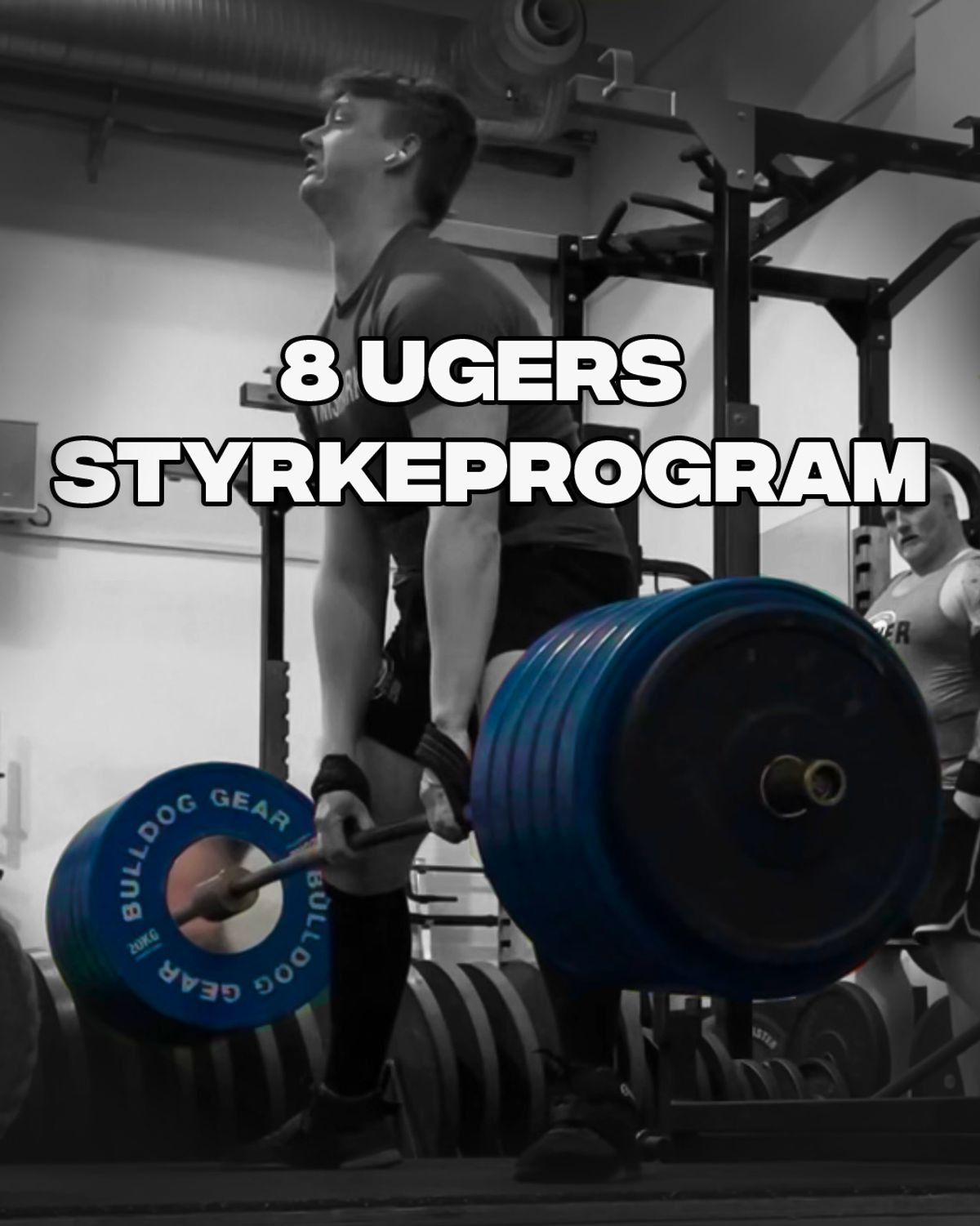 STYRKEPROGRAM - (NORMALT 300 KR)