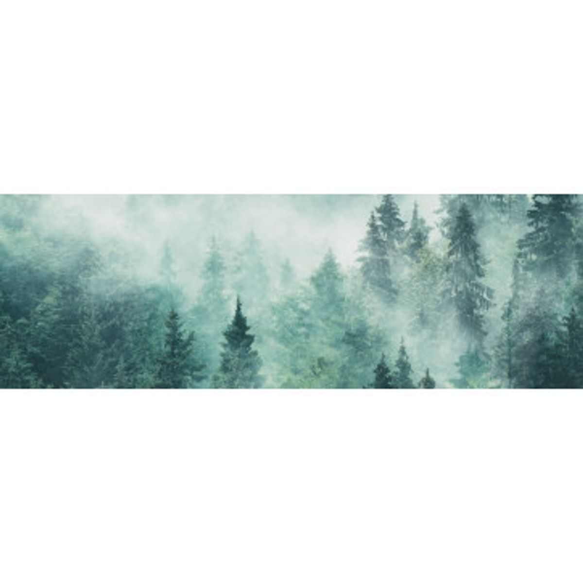 Stænkfolie til køkken - Foggy Forest