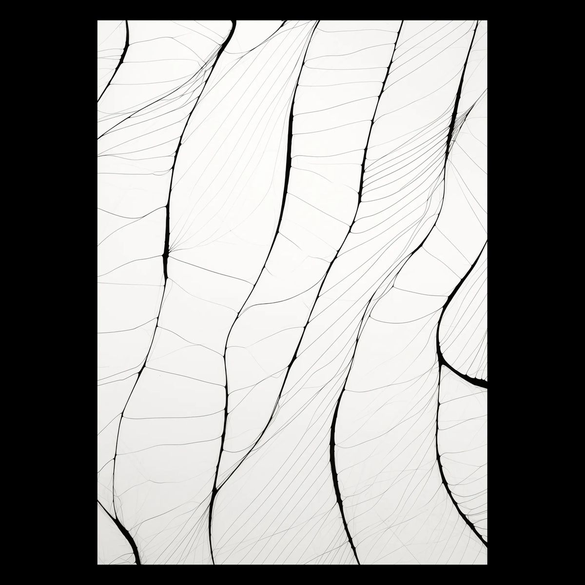 Subtle Patterns Plakat 42x60 (A2) / Egetræ