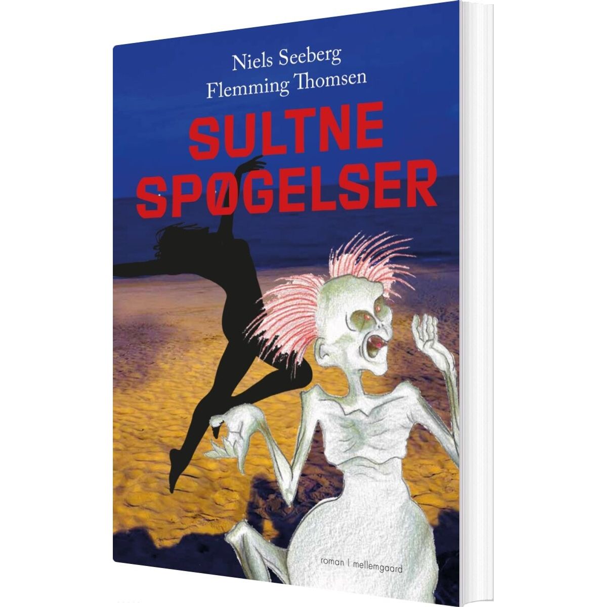 Sultne Spøgelser - Niels Seeberg - Bog