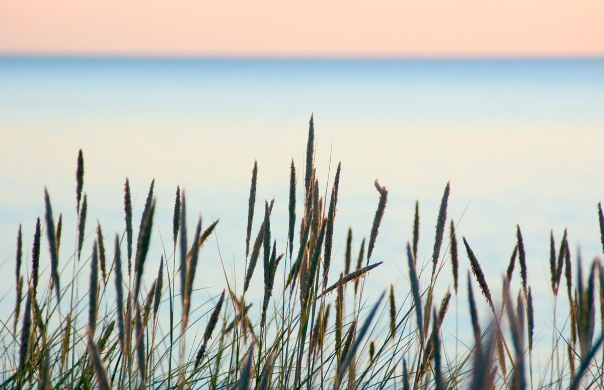 Summer beach af Kirsten Stigsgaard