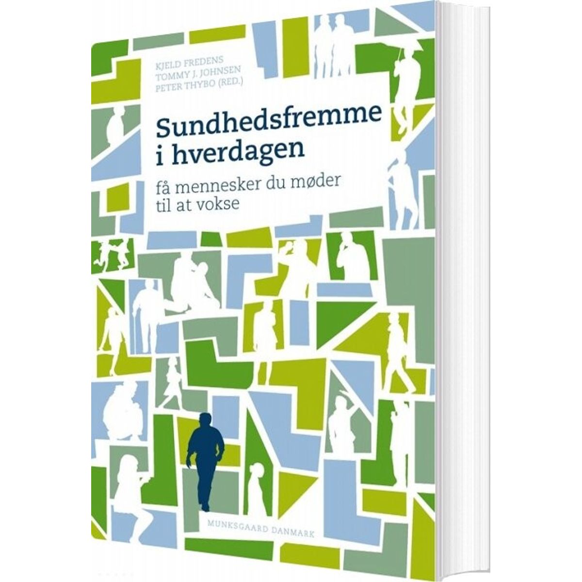 Sundhedsfremme I Hverdagen - Jytte Friis - Bog