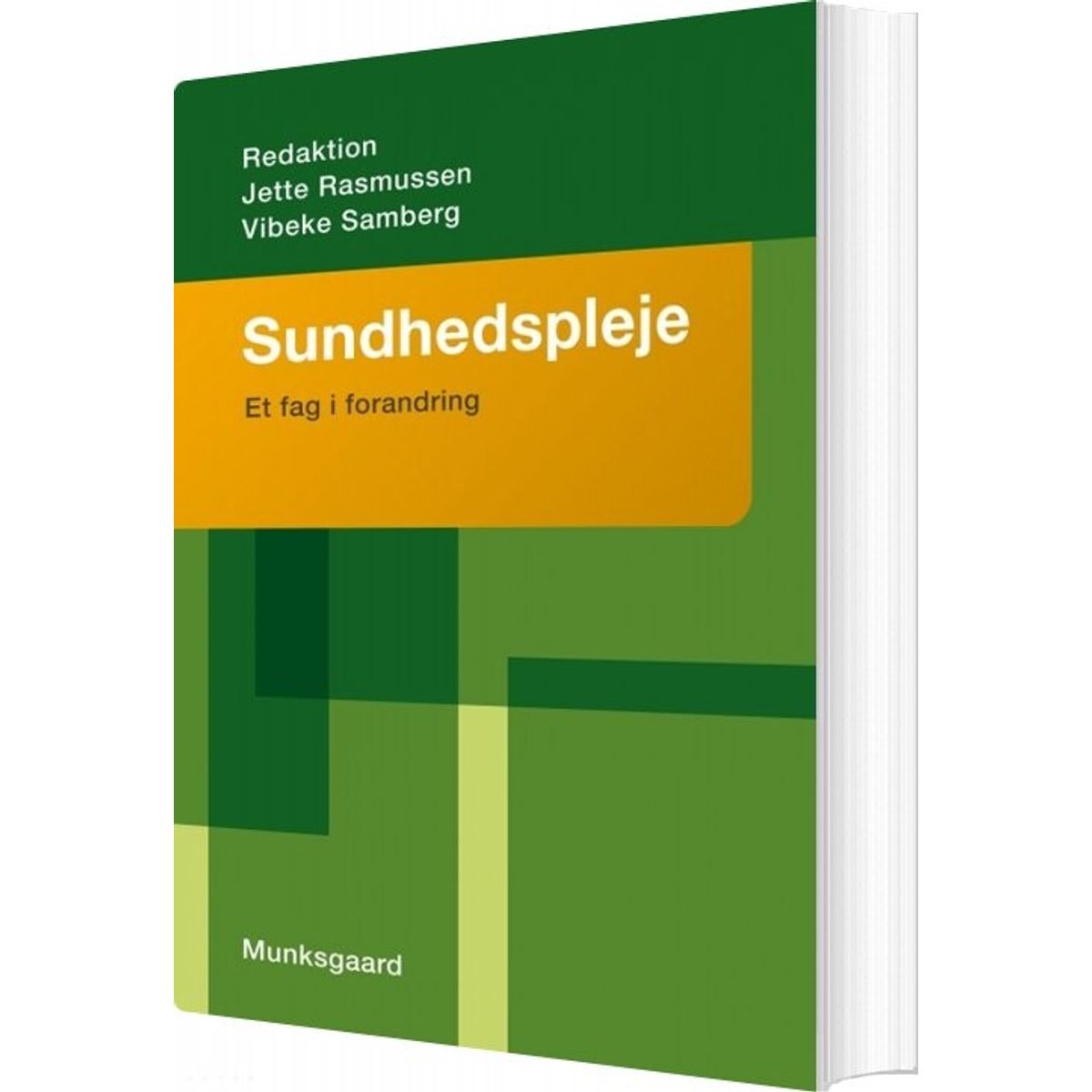 Sundhedspleje - Susanne Friis - Bog