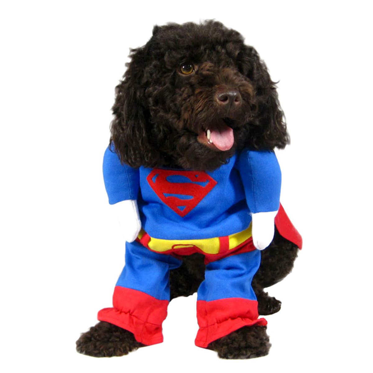 Supermand-kostume til hunde-XL