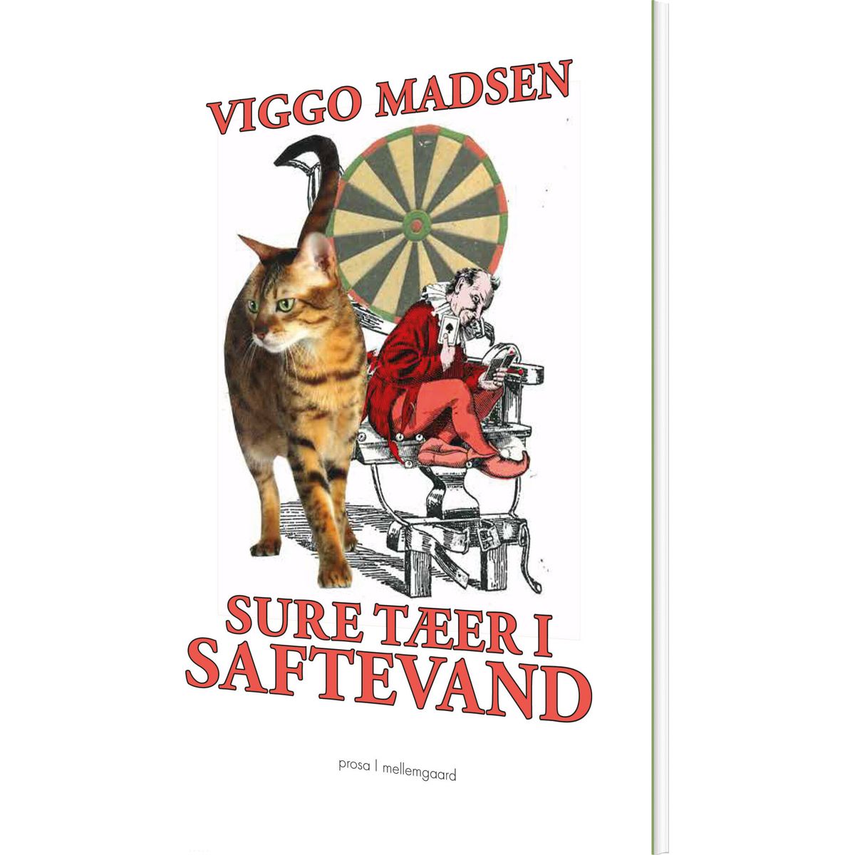 Sure Tæer I Saftevand - Viggo Madsen - Bog